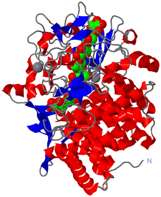 Image Asym./Biol. Unit