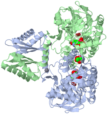 Image Asym./Biol. Unit