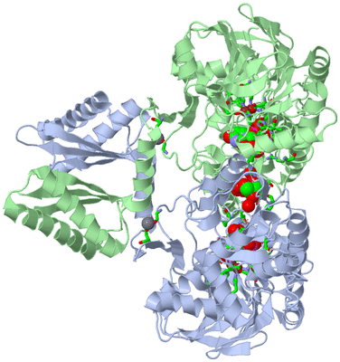 Image Asym./Biol. Unit - sites