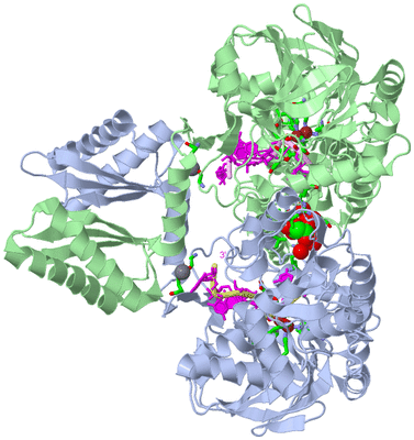 Image Asym./Biol. Unit - sites