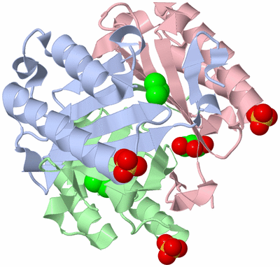 Image Asym./Biol. Unit