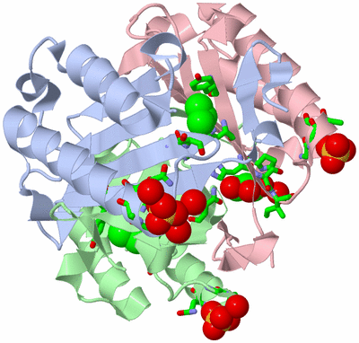 Image Asym./Biol. Unit - sites