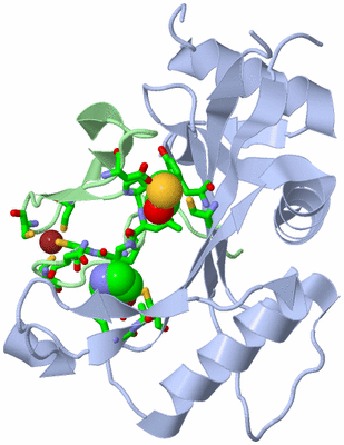 Image Asym./Biol. Unit - sites