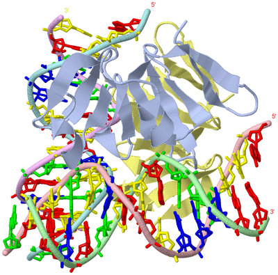 Image Asym./Biol. Unit