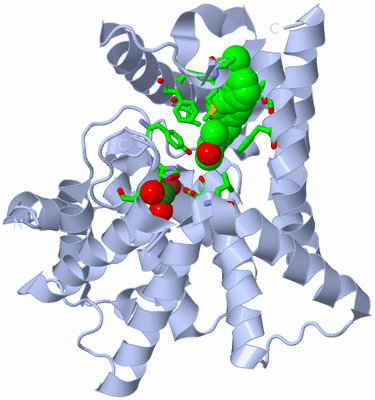 Image Biol. Unit 1 - sites