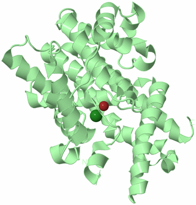 Image Biological Unit 2