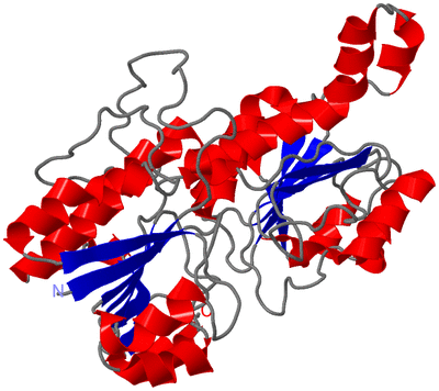 Image Asymmetric Unit