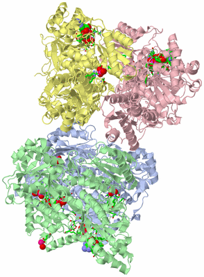 Image Biol. Unit 1 - sites