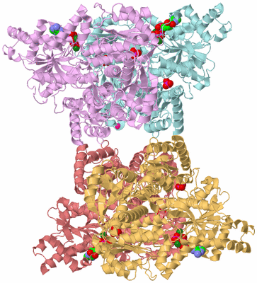 Image Biological Unit 2