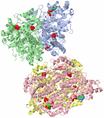 Image Asym./Biol. Unit