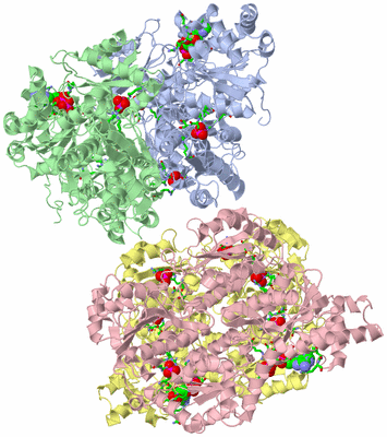 Image Asym./Biol. Unit - sites