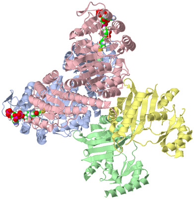 Image Asym./Biol. Unit