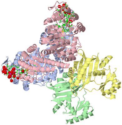 Image Asym./Biol. Unit - sites