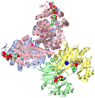 Image Asym./Biol. Unit