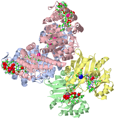 Image Asym./Biol. Unit - sites