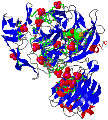 Image Asym./Biol. Unit - sites