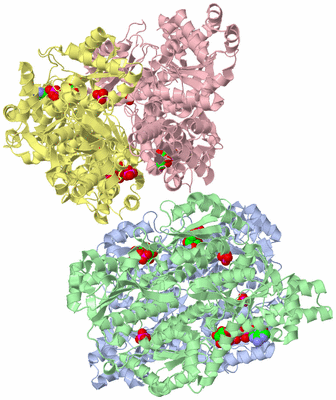 Image Asym./Biol. Unit