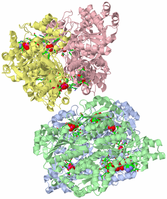 Image Asym./Biol. Unit - sites