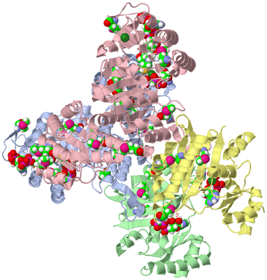 Image Asym./Biol. Unit