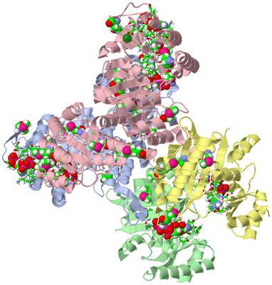 Image Asym./Biol. Unit - sites