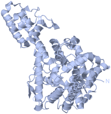 Image Biological Unit 1