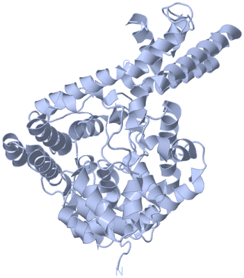 Image Biological Unit 1