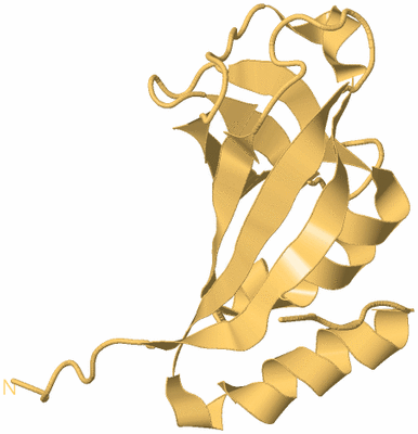 Image Biological Unit 7