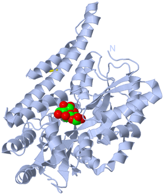 Image Biological Unit 1