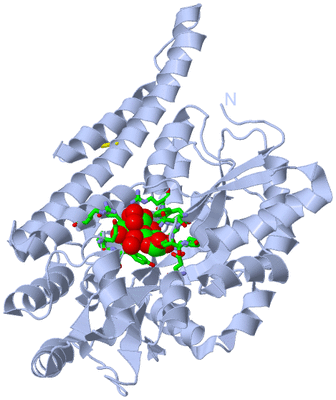 Image Biol. Unit 1 - sites