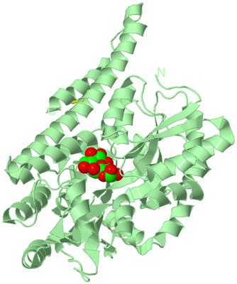 Image Biological Unit 2