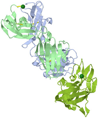 Image Biological Unit 1