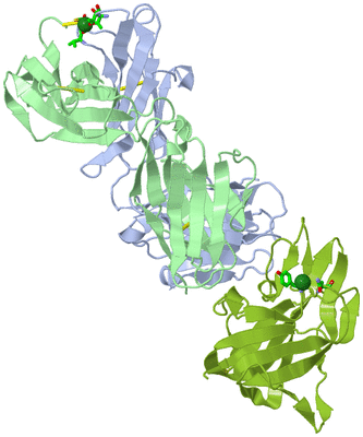 Image Biol. Unit 1 - sites