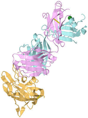 Image Biological Unit 2