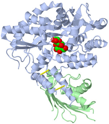 Image Biological Unit 1