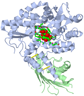 Image Biol. Unit 1 - sites