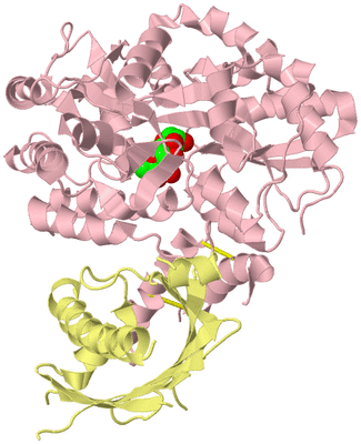 Image Biological Unit 2