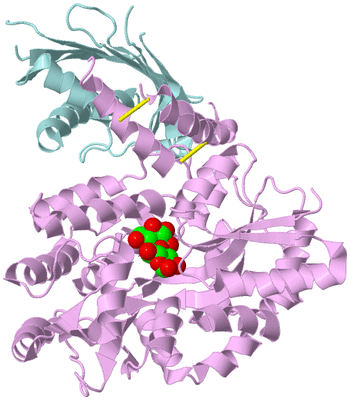 Image Biological Unit 3