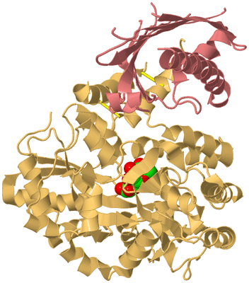 Image Biological Unit 4