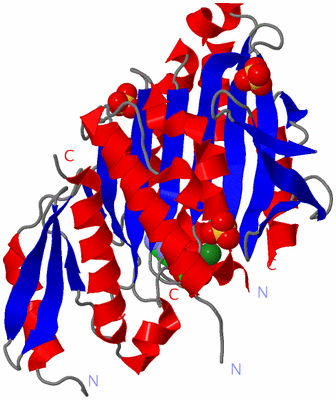 Image Asym./Biol. Unit