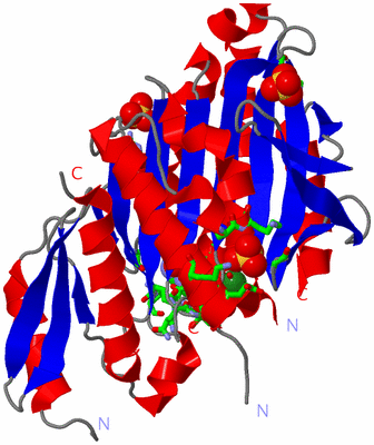 Image Asym./Biol. Unit - sites