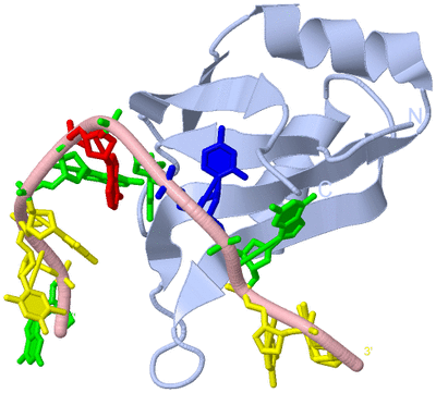 Image Biological Unit 1