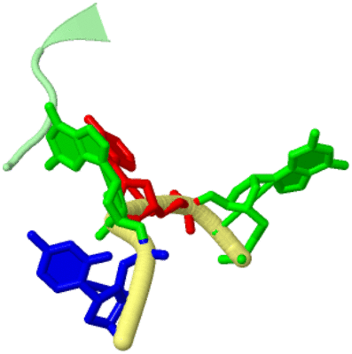 Image Biological Unit 2