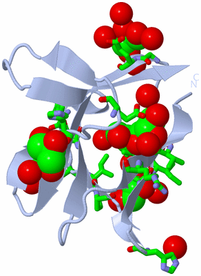 Image Biol. Unit 1 - sites