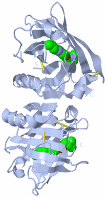 Image Biological Unit 1