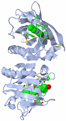 Image Biol. Unit 1 - sites