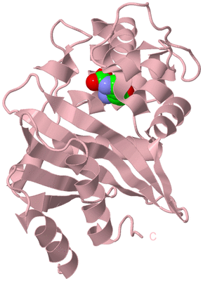 Image Biological Unit 3