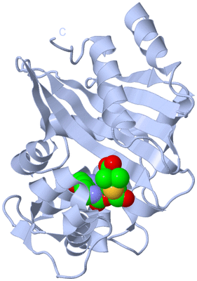 Image Biological Unit 1