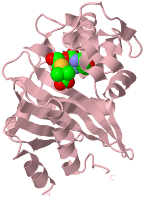 Image Biological Unit 3