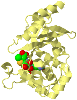 Image Biological Unit 4