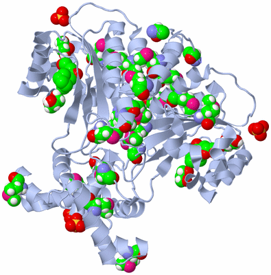 Image Biological Unit 1